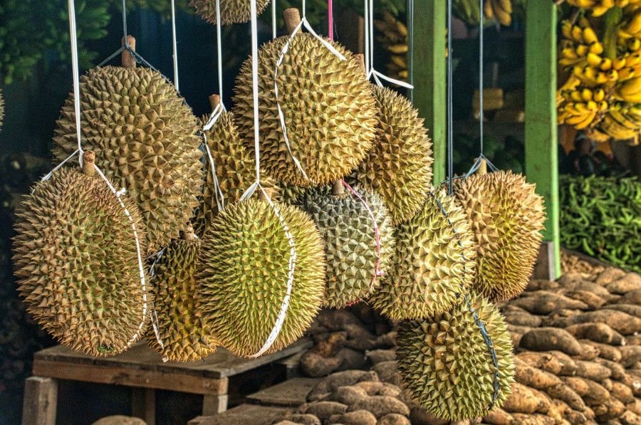 11 Fakta Menarik tentang Durian, Si Raja Buah Asia Tenggara