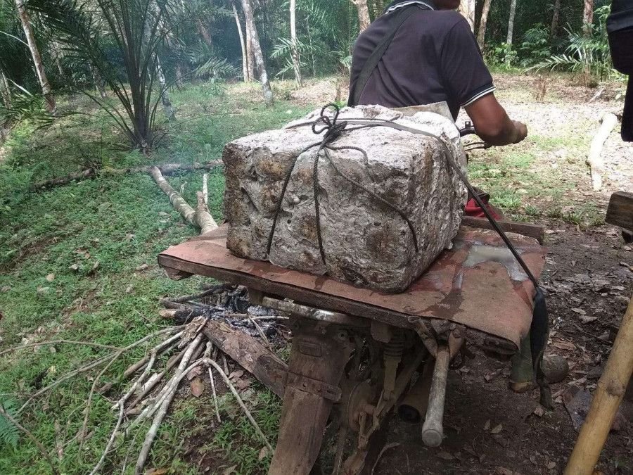 Harga Karet di Bengkulu Melonjak ke Rp15.000/Kg, Petani Bersyukur dan Berharap Kestabilan